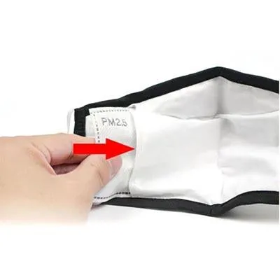 PM 2.5 Breathable Reusable Face Mask